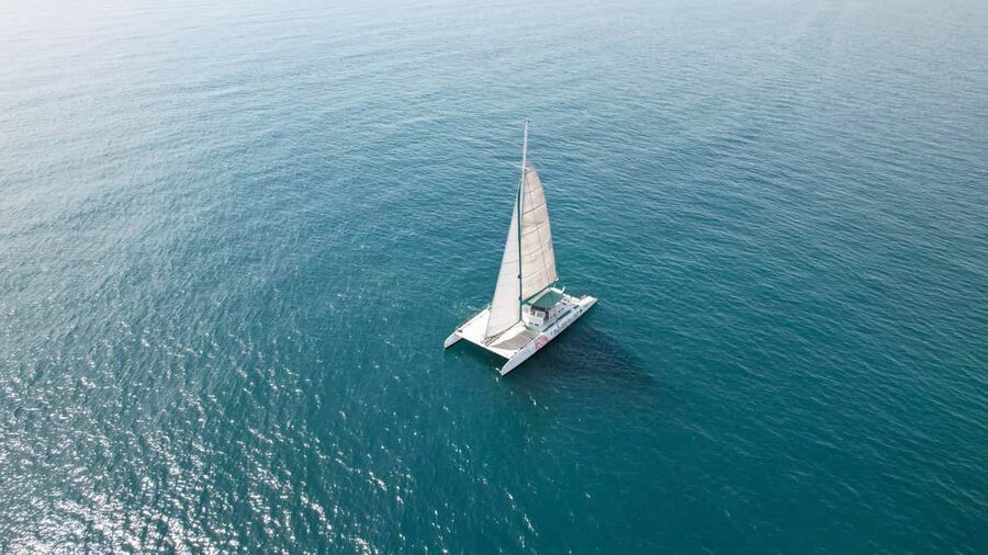 Valencia: Sailing Catamaran with Swimming & Optional DJ - What the Valencia Catamaran Trip Really Offers