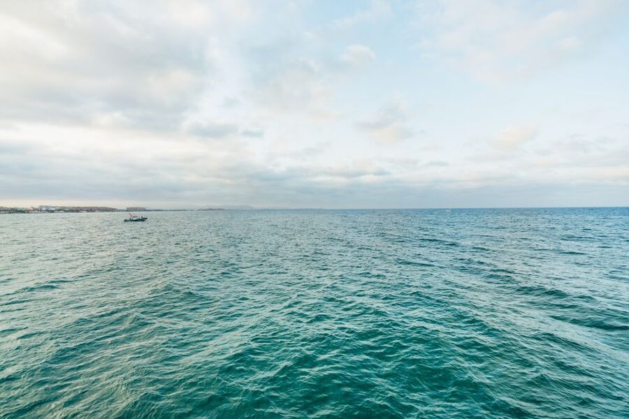 Valencia: Sunset or Daytime Catamaran Cruise with Drink - Choosing daytime or sunset