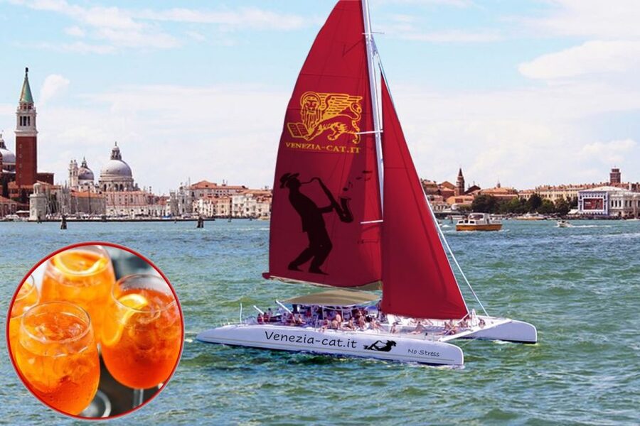 Venice: Lagoon Catamaran Cruise with Music and Drinks - Final verdict: book it for the view and the pause