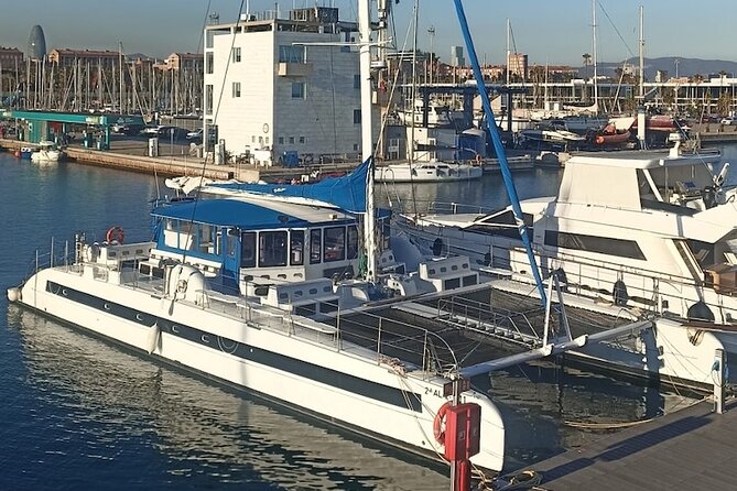 Vermouth in Catamaran A gastronomic experience in Barcelona - Should you book the Vermouth in Catamaran experience?