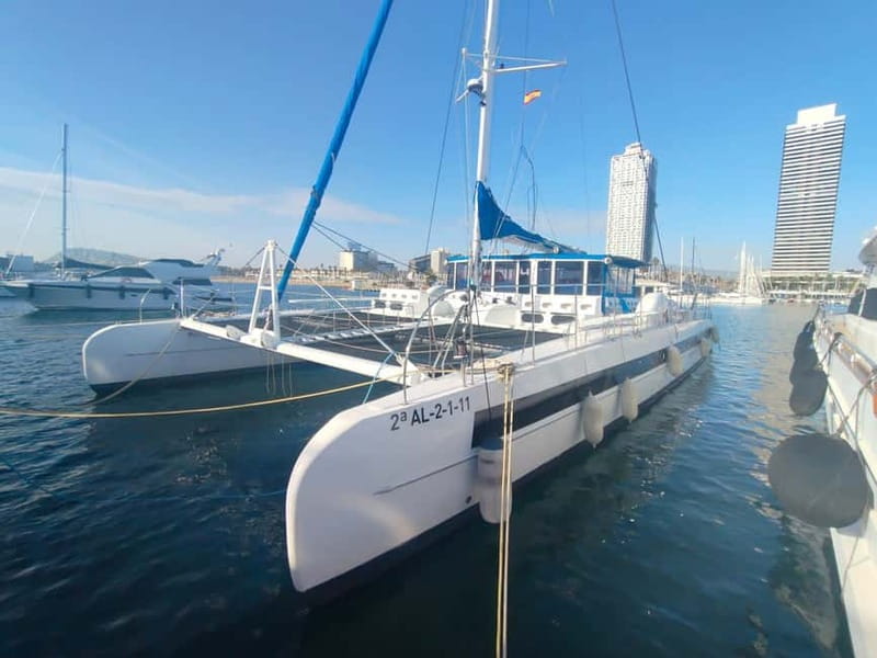 Vermouth on Catamaran: A Gastronomic Experience in Barcelona - Setting sail from the Olympic Port at 11:30am
