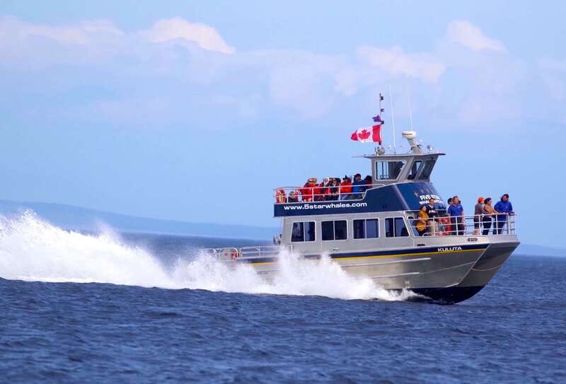 Victoria BC: 3-Hour Whale Watching Expedition - Searching the Salish Sea for whales