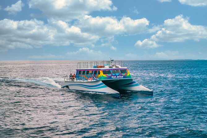 Vieques: Beach and Snorkeling Tour by Catamaran from Fajardo - Four Hours to Swim, Walk, and Beachcomb