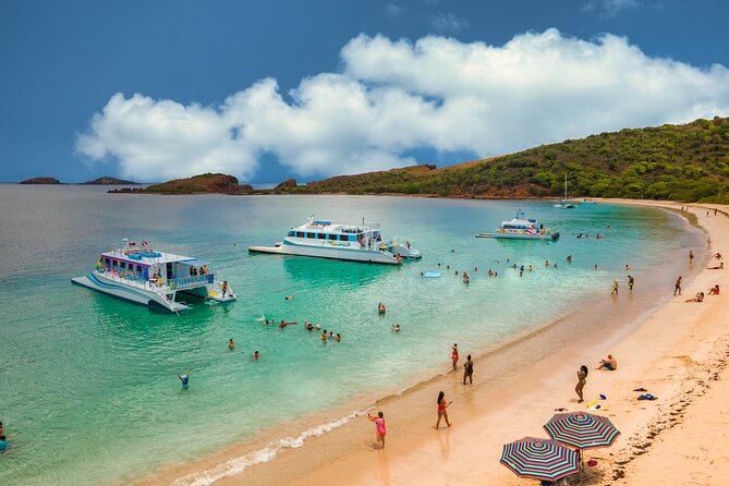 Vieques: Beach and Snorkeling Tour by Catamaran from Fajardo - Timing, Cancellations, and What to Bring