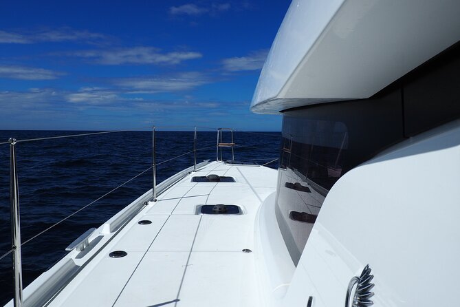 VIP Catamaran Private Tour in Lisbon up to 18 clients - Praça do Comércio and the statue of Dom José I