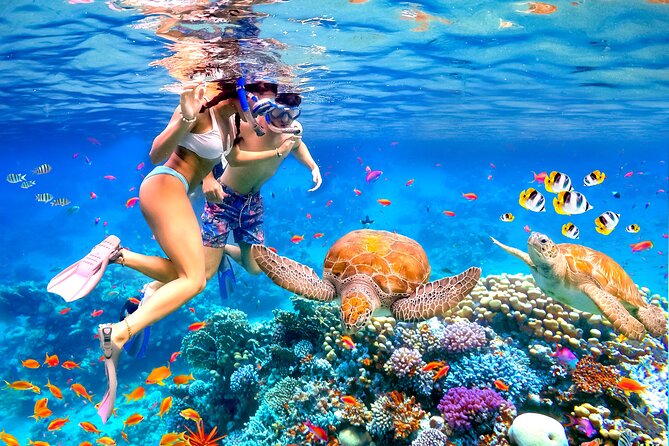Waikiki Catamaran Escape: Snorkel with Turtles & Water Sports Fun - Reaching the harbor without a morning scramble