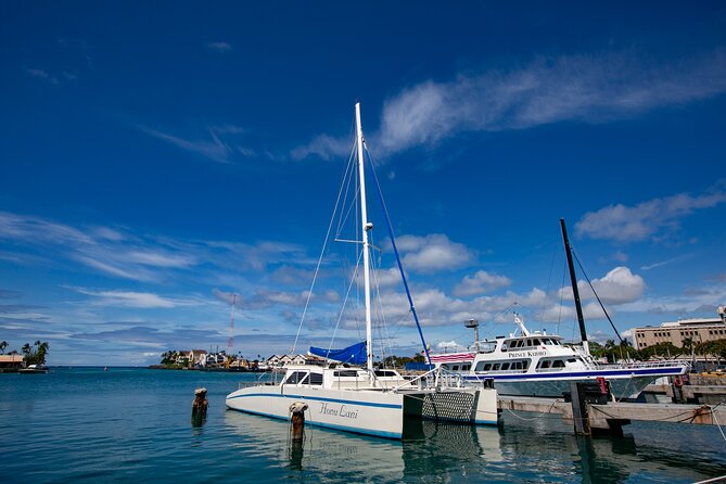 Waikiki Catamaran Snorkel Sail with Lunch: Turtles Guaranteed - What makes Turtle Canyon worth the trip