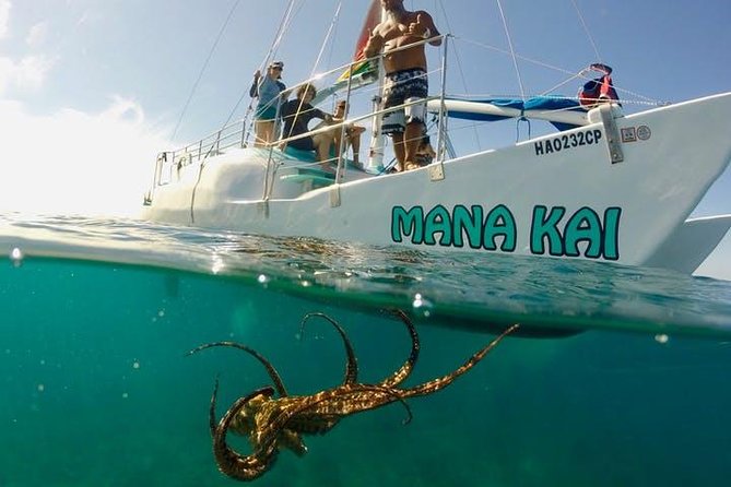 Waikiki Turtle Snorkel and Sail on Hawea Catamaran - A catamaran ride with Diamond Head and Waikiki views