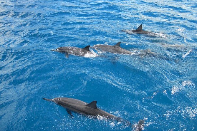 Waikoloa Catamaran Snorkel Sail Including Lunch - Sailing out from Anaehoomalu Bay at 9:00 a.m.
