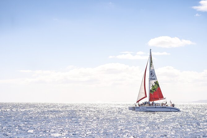 Waikoloa Turtle Catamaran Snorkel Sail - Key points at a glance