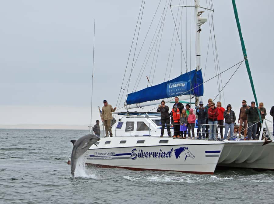 Walvis Bay: Marine Big 5 Luxury Catamaran Tour - Seasonal whale watching from July to November