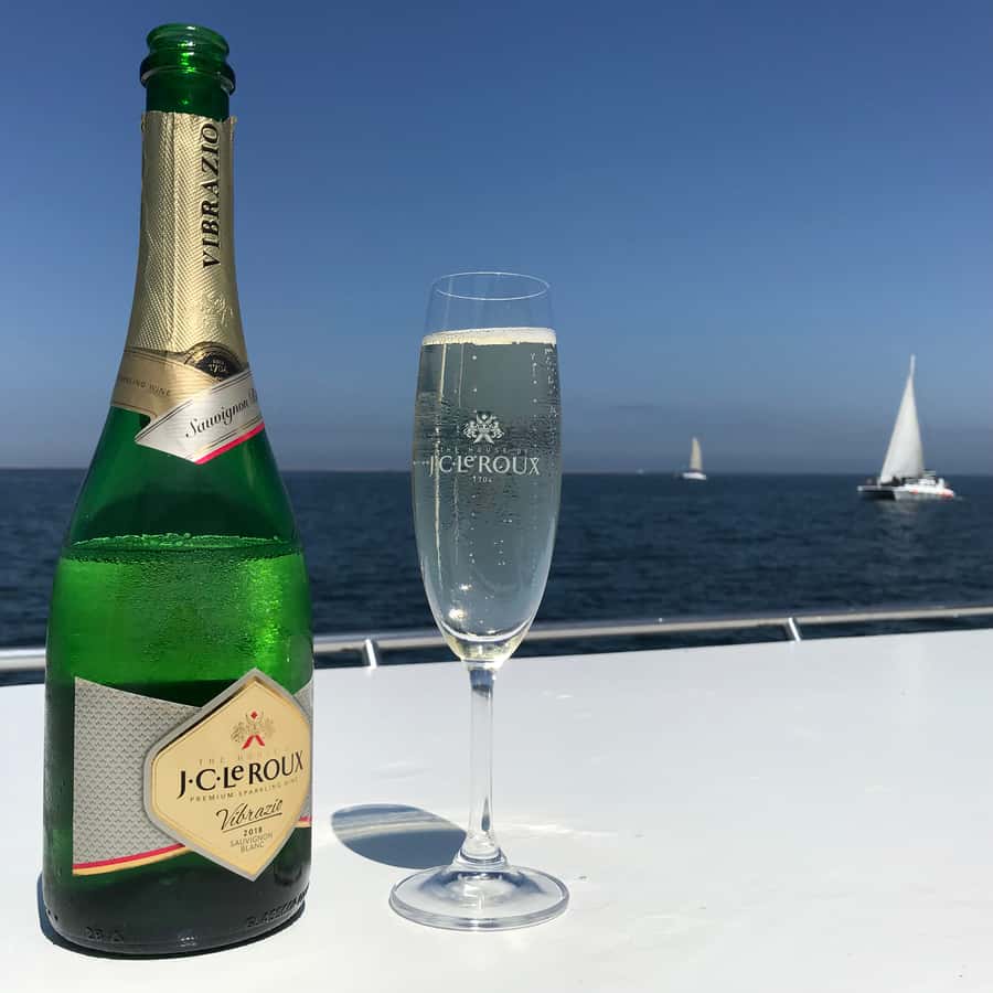 Walvis Bay: Marine Big 5 Luxury Catamaran Tour - What to wear and what the boat feels like
