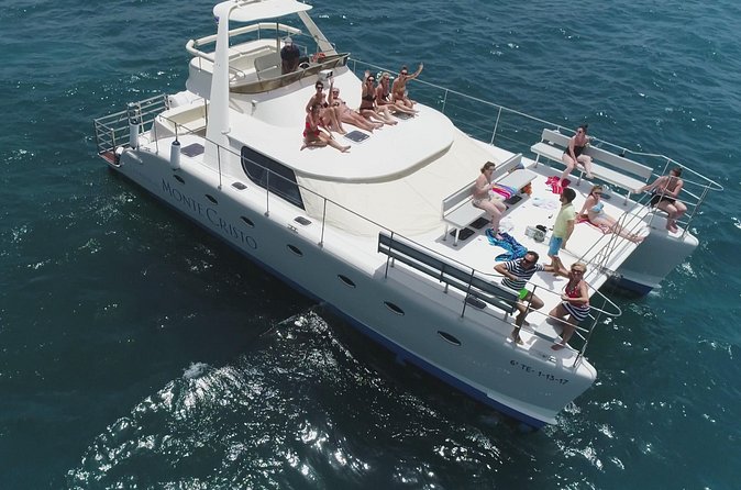 Whale and Dolphin Watching Catamaran with Transfer and Buffet - A swim and snorkel stop near Tenerife’s coast