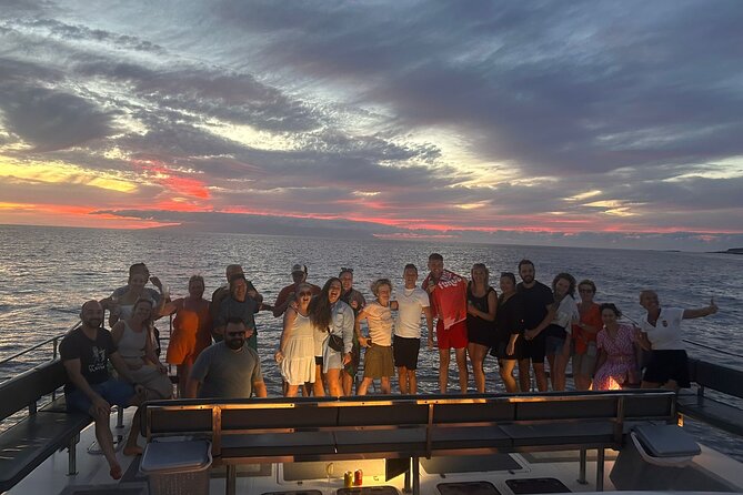 Whale and Dolphin Watching Catamaran with Transfer and Buffet - Sailing back along the south coast