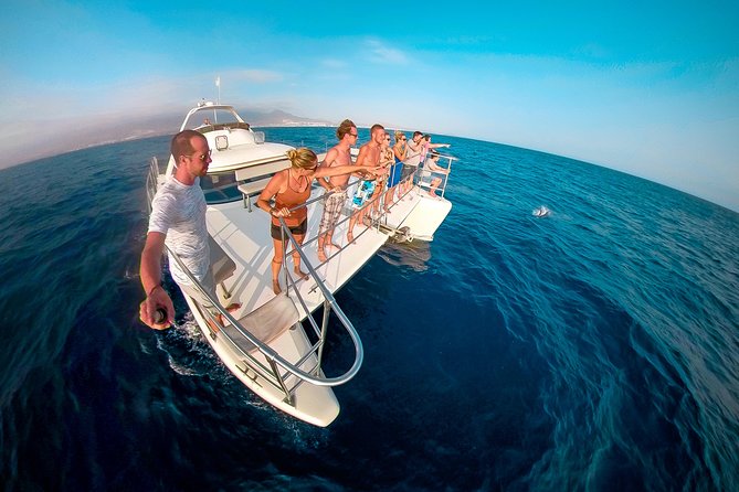 Whale and Dolphin Watching Catamaran with Transfer and Buffet - Drinks and tapas while you watch the sea