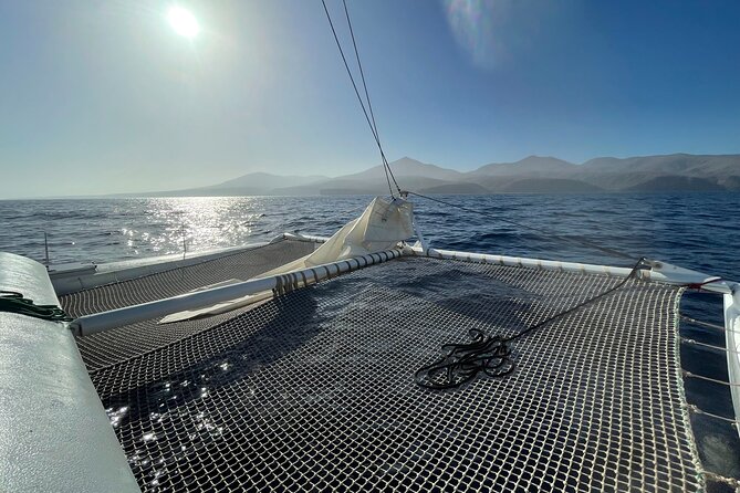 Whale & Dolphin Observation on Silent Catamaran with Hydrophone - Setting out from Puerto Calero at 9:00 a.m.