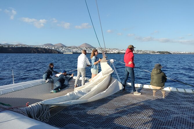 Whale & Dolphin Observation on Silent Catamaran with Hydrophone - Snacks, drinks, and comfort at sea