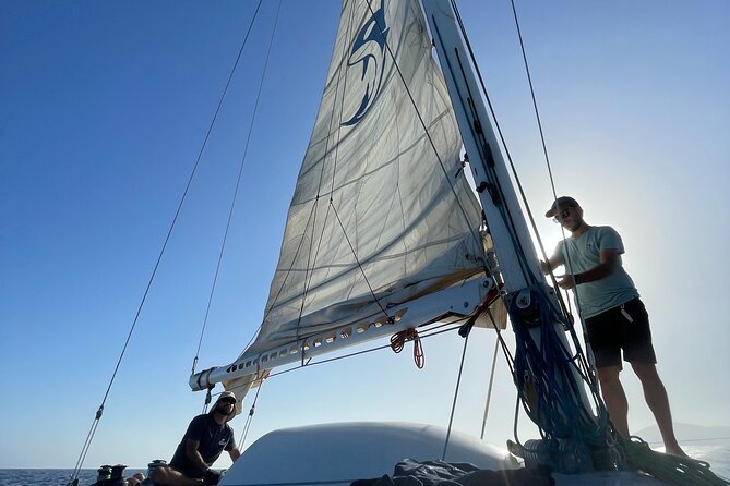 Whale & Dolphin Observation on Silent Catamaran with Hydrophone - Who will enjoy this trip most?
