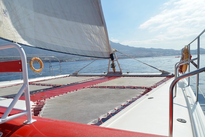 Whale Watching and Listening Eco Catamaran Tour with Food Tasting - Key points before you book