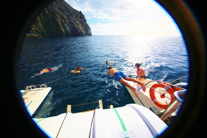 Whale watching and listening Eco-Catamaran Tour with Food Tasting - What the three-hour trip is really about