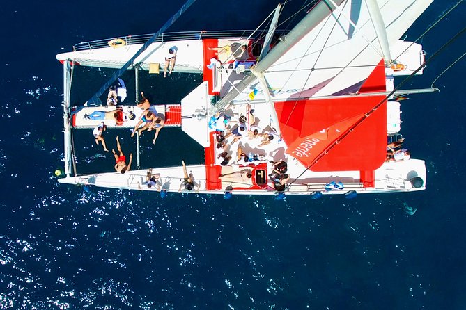 Whale Watching and Listening Eco Catamaran Tour with Food Tasting - What lunch and the open bar really add