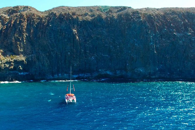 Whale watching and listening Eco-Catamaran Tour with Food Tasting - Who will enjoy this catamaran most