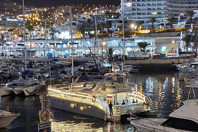 Whale Watching Catamaran Cruise with Transfer, Buffet by MC - Practical Ways to Improve Your Trip