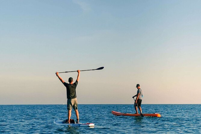 Whale Watching in Trincomalee by Catamaran cruise - Who will enjoy this catamaran cruise
