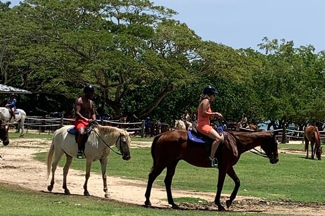 Zipline, Horseback Ride, ATV and Catamaran from Montego Bay - Four Jamaican activities packed into six hours